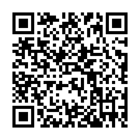QR code for plate 9-01NZ