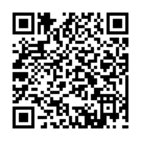 QR code for plate 9-0228