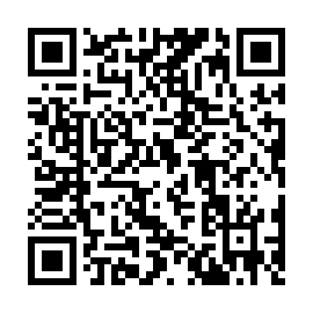 QR code for plate 9-111G