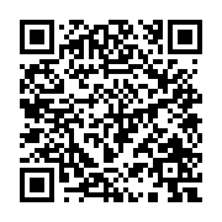 QR code for 9132P