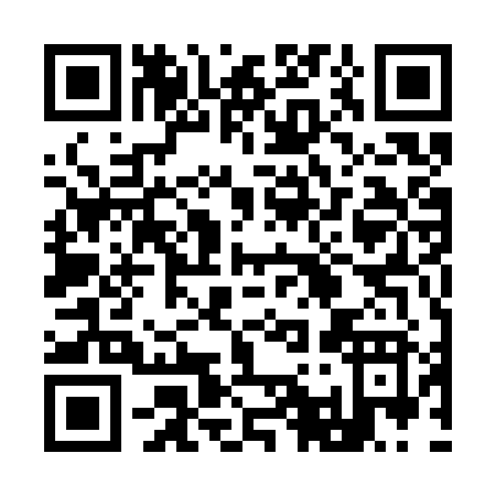 QR code for 9153Z