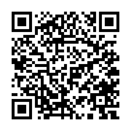 QR code for 917PL