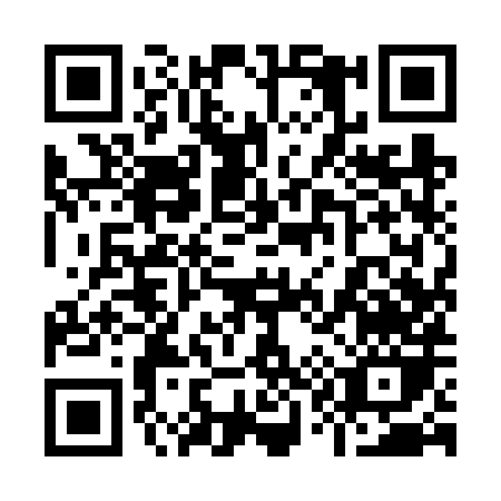 QR code for plate 9-196X