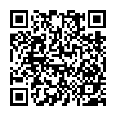 QR code for 919FI