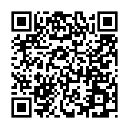 QR code for 919LX