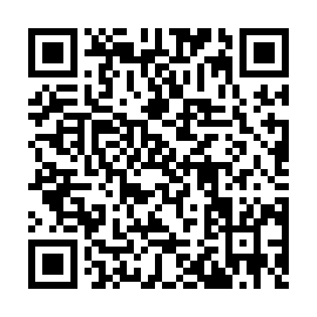 QR code for 925QI