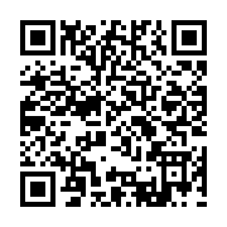 QR code for 938BG