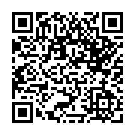 QR code for plate 9-3965
