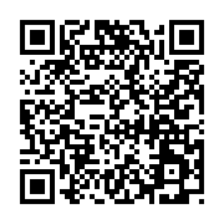 QR code for 93PUL