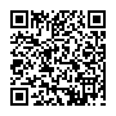 QR code for plate 9-4333