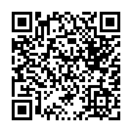 QR code for plate 9-4597