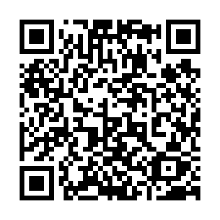 QR code for plate 9-4963Z