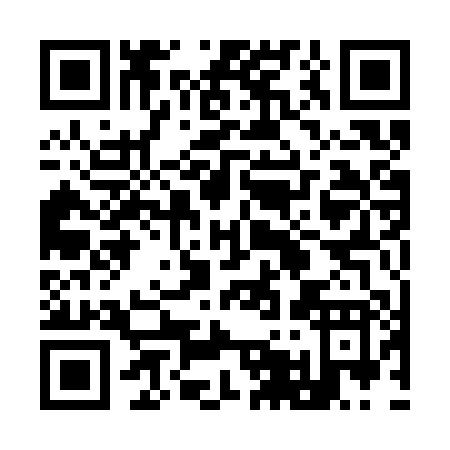 QR code for plate 9-513P