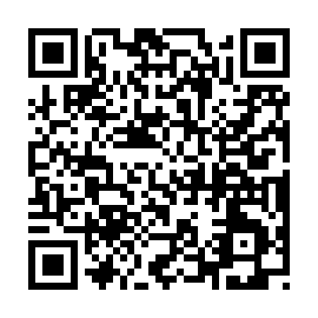 QR code for 95385