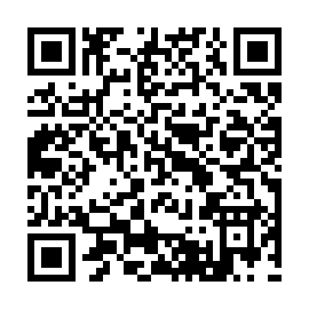 QR code for 953SI