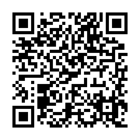 QR code for 95IRX