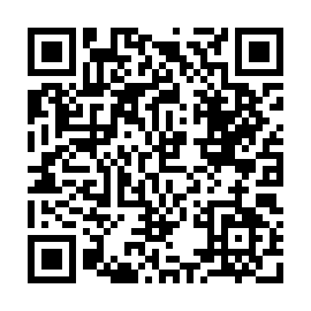 QR code for 95NLI
