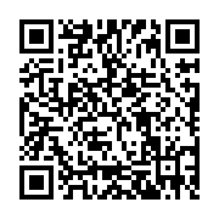 QR code for 95PIE