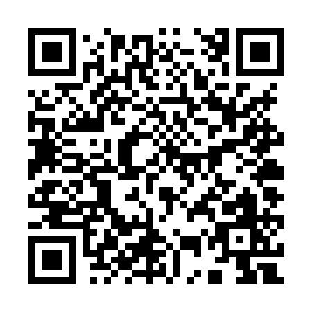 QR code for 95TXQ