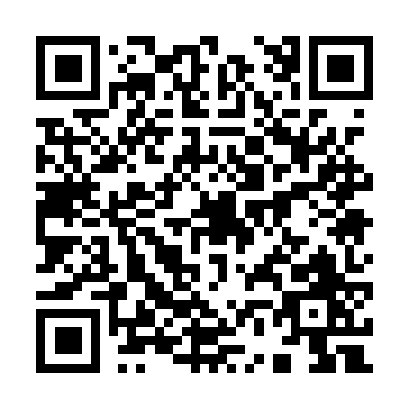 QR code for 9611Z