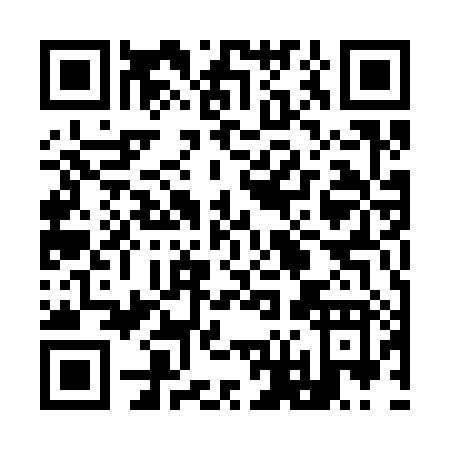 QR code for 96538