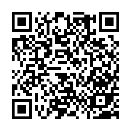 QR code for plate 9-6911