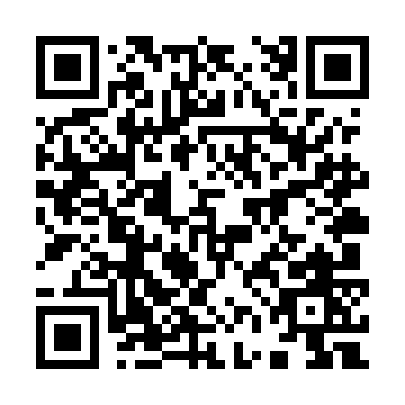 QR code for 96LUO