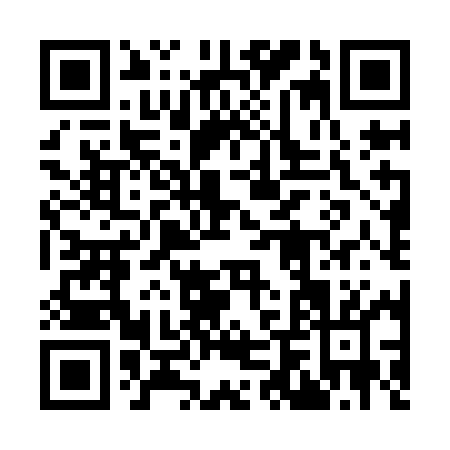 QR code for 96QIM