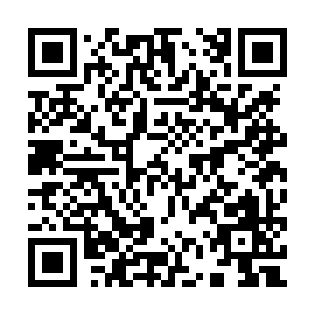 QR code for 96SLY