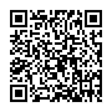 QR code for plate 9-8519