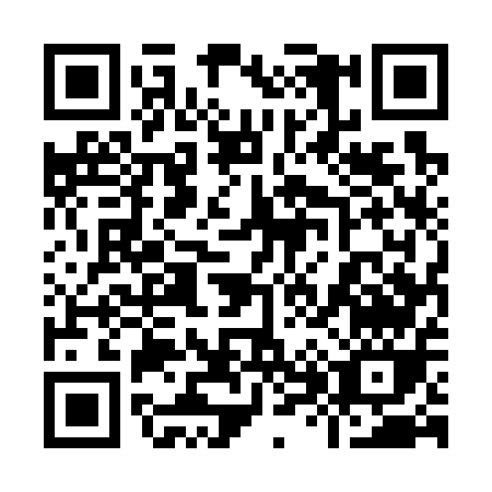 QR code for plate 9-8575