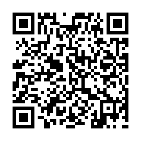 QR code for plate 9-85960