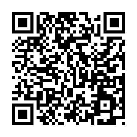 QR code for plate 9-8728
