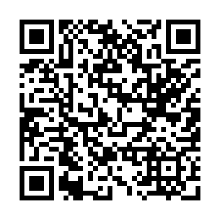 QR code for plate 9-95969