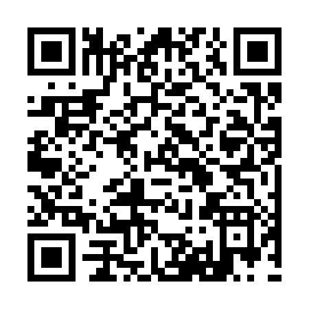 QR code for plate 9-9638