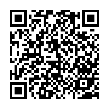 QR code for plate 9-9685