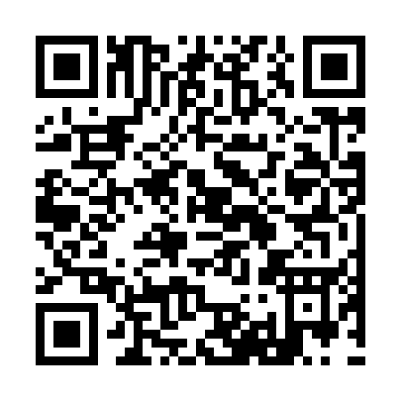 QR code for plate 9-9695